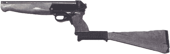 Пистолет ТП-82 с присоединенным прикладом - мачете