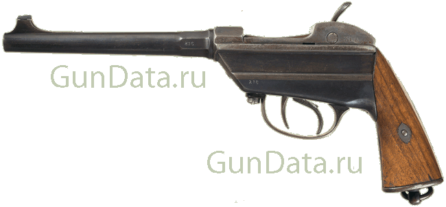 Пистолет Вердера 1869 года (Werder M1869)