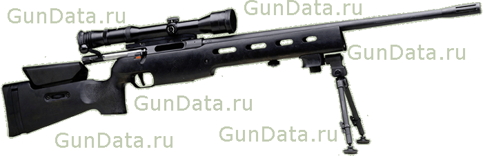 Снайперская винтовка ЗИГ Зауэр ССГ 3000 (SIG Sauer SSG 3000, Scharfschützen Gewehr 3000)